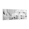 5-PIECE CANVAS PRINT ORCHID ON A CANVAS IN BLACK AND WHITE - BLACK AND WHITE PICTURES - PICTURES