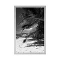 POSTER WONDERS OF ANSE SOURCE BEACH IN BLACK AND WHITE - BLACK AND WHITE - POSTERS