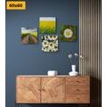 CANVAS PRINT SET MEADOW FULL OF FLOWERS - SET OF PICTURES - PICTURES