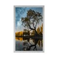 POSTER TREE UNDER THE STARRY SKY - NATURE - POSTERS