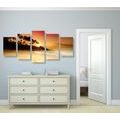 5-PIECE CANVAS PRINT SUNSET IN SRI LANKA - PICTURES OF NATURE AND LANDSCAPE - PICTURES