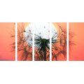 5-PIECE CANVAS PRINT DANDELION AT SUNSET - PICTURES FLOWERS{% if product.category.pathNames[0] != product.category.name %} - PICTURES{% endif %}