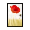 TAPETE MOHNBLUME - BLUMEN - POSTER