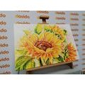 CANVAS PRINT BEAUTIFUL SUNFLOWER - PICTURES FLOWERS - PICTURES