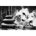 CANVAS PRINT SPA STILL LIFE IN BLACK AND WHITE - BLACK AND WHITE PICTURES - PICTURES