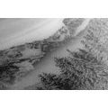 CANVAS PRINT FROZEN MOUNTAINS IN BLACK AND WHITE - BLACK AND WHITE PICTURES - PICTURES