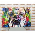 TABLEAU SUR TOILE – BULLDOG POP-ART - TABLEAUX DE POP ART - TABLEAUX