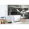 WALL MURAL MOUNTAIN PANORAMA IN BLACK AND WHITE - BLACK AND WHITE WALLPAPERS - WALLPAPERS