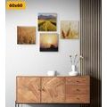 CANVAS PRINT SET MAGIC OF NATURE - SET OF PICTURES - PICTURES