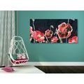 CANVAS PRINT RED POPPIES ON A BLACK BACKGROUND - PICTURES FLOWERS - PICTURES