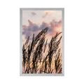 POSTER GRASS AT SUNSET - NATURE - POSTERS