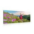 CANVAS PRINT MEADOW BY THE MAGIC MILL - PICTURES OF NATURE AND LANDSCAPE - PICTURES