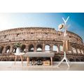 FOTOMURALE – COLOSSEO - CARTA DA PARATI - 🔥 SVENDITA TOTALE