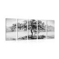 5-PIECE CANVAS PRINT ORIENTAL CHERRY IN BLACK AND WHITE - BLACK AND WHITE PICTURES - PICTURES