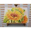 CANVAS PRINT BEAUTIFUL SUNFLOWER - PICTURES FLOWERS - PICTURES