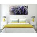 WANDBILD BLUMENSTRAUSS MIT LAVENDEL - BILDER BLUMEN - BILDER