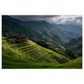 WANDBILD GRÜNE REISTERRASSEN - WANDBILDER FELDER UND WIESEN - BILDER
