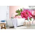 SELF ADHESIVE WALL MURAL PEONIES IN PINK COLOR - SELF-ADHESIVE WALLPAPERS - WALLPAPERS