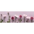 CANVAS PRINT COMPOSITION OF PINK CHRYSANTHEMUMS - PICTURES FLOWERS - PICTURES