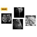 CANVAS PRINT SET WILD ANIMALS IN BLACK AND WHITE - SET OF PICTURES - PICTURES