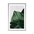 POSTER WITH MOUNT ENCHANTING MONSTERA LEAF - FLOWERS - POSTERS