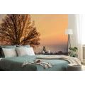 SELF ADHESIVE WALL MURAL HORSES IN A SNOWY LANDSCAPE - SELF-ADHESIVE WALLPAPERS - WALLPAPERS