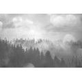 SELF ADHESIVE WALL MURAL BLACK AND WHITE FOG OVER THE FOREST - SELF-ADHESIVE WALLPAPERS - WALLPAPERS