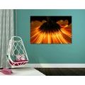 CANVAS PRINT GERBERA ON A DARK BACKGROUND - PICTURES FLOWERS{% if product.category.pathNames[0] != product.category.name %} - PICTURES{% endif %}