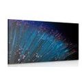 CANVAS PRINT FIBER OPTICS - STILL LIFE PICTURES - PICTURES