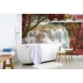 WALL MURAL FOREST WATERFALL - WALLPAPERS NATURE - WALLPAPERS