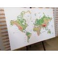 CANVAS PRINT CLASSIC WORLD MAP WITH A WHITE BACKGROUND - PICTURES OF MAPS - PICTURES