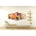 5-PIECE CANVAS PRINT BEAUTIFUL BLOOMING FLOWERS IN THE GARDEN - PICTURES FLOWERS - PICTURES