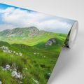 WALL MURAL VALLEY IN MONTENEGRO - WALLPAPERS NATURE - WALLPAPERS