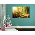 CANVAS PRINT SUN RAYS IN THE FOREST - PICTURES OF NATURE AND LANDSCAPE{% if product.category.pathNames[0] != product.category.name %} - PICTURES{% endif %}