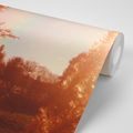 SELF ADHESIVE WALLPAPER AUTUMN ATMOSPHERE - SELF-ADHESIVE WALLPAPERS - WALLPAPERS