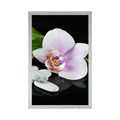 POSTER ZEN-STEINE UND ORCHIDEE - BLUMEN{% if product.category.pathNames[0] != product.category.name %} - GERAHMTE POSTER{% endif %}