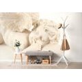 WALL MURAL SLEEPING ANGEL - WALLPAPERS - 🔥 TOTAL SALE 🔥