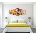 5-PIECE CANVAS PRINT BEAUTIFUL BLOOMING FLOWERS IN THE GARDEN - PICTURES FLOWERS - PICTURES