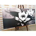 CANVAS PRINT LOTUS FLOWER IN THE LAKE IN BLACK AND WHITE - BLACK AND WHITE PICTURES - PICTURES