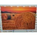 CANVAS PRINT HAY BALES - PICTURES OF NATURE AND LANDSCAPE - PICTURES