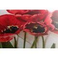 CANVAS PRINT BLOOMING RED TULIPS - PICTURES FLOWERS - PICTURES