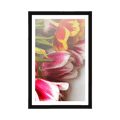 AFFICHE AVEC MONTURE BOUQUET DE TULIPES COLORÉES - FLEURS - AFFICHES