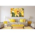 CANVAS PRINT YELLOW LILY - PICTURES FLOWERS - PICTURES