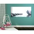 CANVAS PRINT LOTUS FLOWER AND ZEN STONES - PICTURES FENG SHUI{% if product.category.pathNames[0] != product.category.name %} - PICTURES{% endif %}