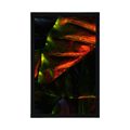 POSTER TROPICAL PALM LEAVES - NATURE - POSTERS