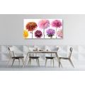 CANVAS PRINT DAHLIA FLOWERS IN A DIVERSE DESIGN - PICTURES FLOWERS - PICTURES