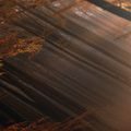 5-DÍLNÝ OBRAZ PODZIMNÍ LES V MLZE - PICTURES FOREST - PICTURES