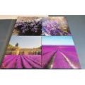 CANVAS PRINT SET ROMANTIC LAVENDER - SET OF PICTURES - PICTURES