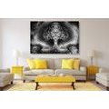 CANVAS PRINT RAVENS AND THE TREE OF LIFE IN BLACK AND WHITE - BLACK AND WHITE PICTURES - PICTURES