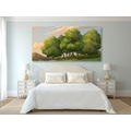 CANVAS PRINT SUNSET OVER A LANDSCAPE - PICTURES OF NATURE AND LANDSCAPE{% if product.category.pathNames[0] != product.category.name %} - PICTURES{% endif %}